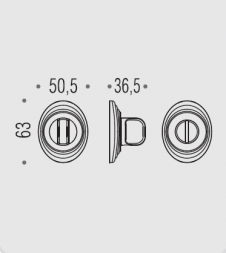 Фиксатор сантехнический Colombo Rosetta DB19 BZG золото